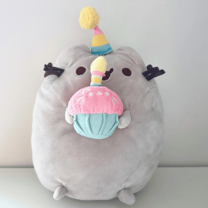 Peluche Pusheen cumpleaños  1