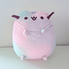 Peluche Pusheen Rainbow Arcoiris 1