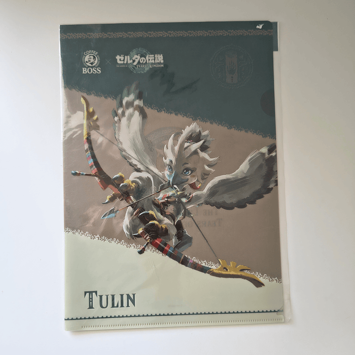 Carpetas Zelda Boss Tears of the Kingdom 2