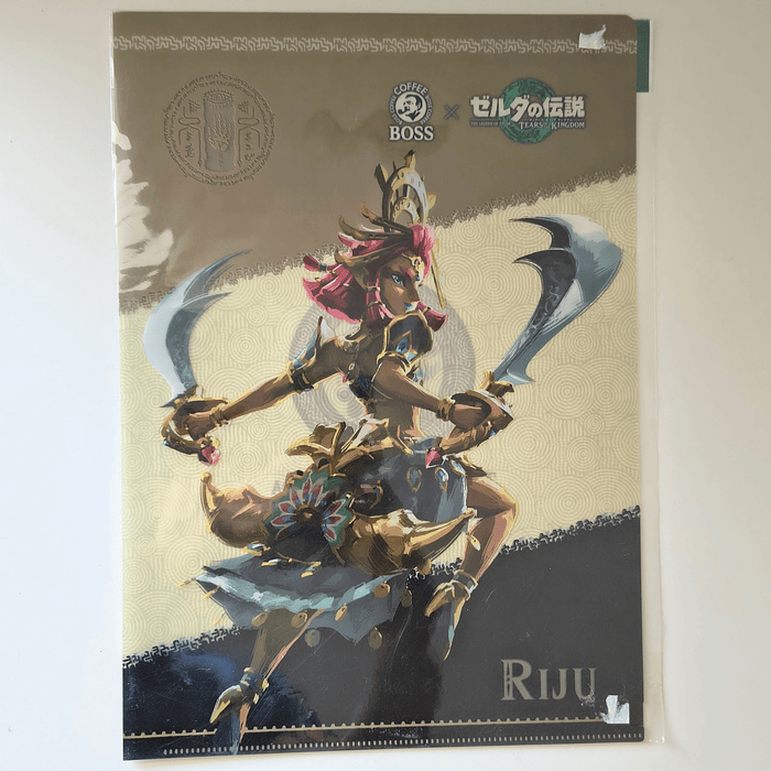 Carpetas Zelda Boss Tears of the Kingdom 3