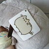 Peluche Pusheen con un helado  3