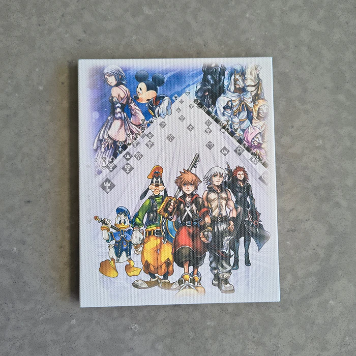 Cuadro Lienzo arte Kingdom Hearts  1