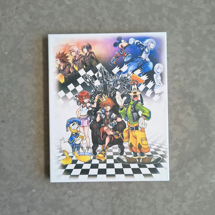Cuadro Lienzo arte Kingdom Hearts  5
