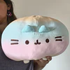 Peluche Pusheen arcoiris round  2