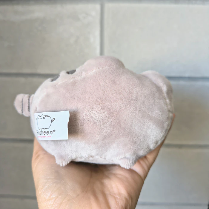 Peluche Pusheen con Lentes 2