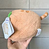Peluche Pusheen Kiwi Exclusivo de Claire´s 2