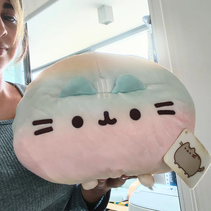 Peluche Pusheen Rainbow Round Squisheen 2