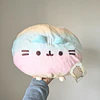 Peluche Pusheen Rainbow Round Squisheen 1