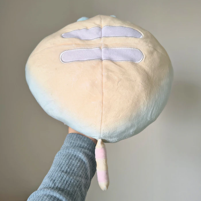 Peluche Pusheen Rainbow Round Squisheen 3
