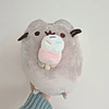 Peluche Pusheen Paleta de Helado  1