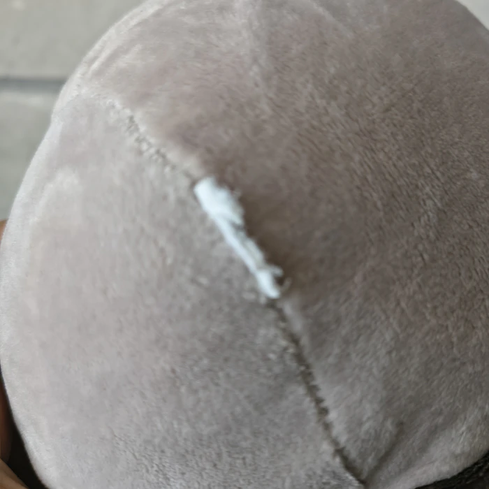 Peluche Pusheen con papas fritas 3
