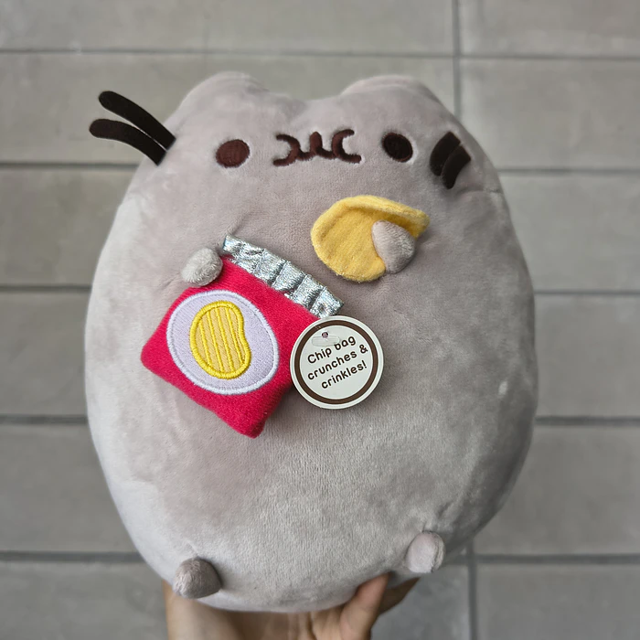 Peluche Pusheen con papas fritas 1