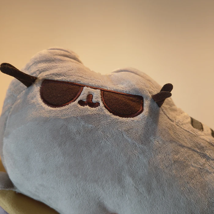 Peluche Pusheen Skateboard  2