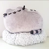 Pusheen Gund  Sleeping on a Cloud Claires Exclusive 1
