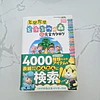 Guía Completa Animal Crossing: New Leaf - Japonés 1