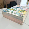 Guía Completa Animal Crossing: New Leaf - Japonés 2