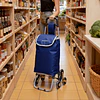 Carrinho de Compras Dobrável em Alumínio, Carrinho de Compras Colapsível com Bolsa de Tecido Oxford, Bolsa de Compras Removível com Rodas, 6 Rodas com Bolsa Oxford Destacável, 95x4...