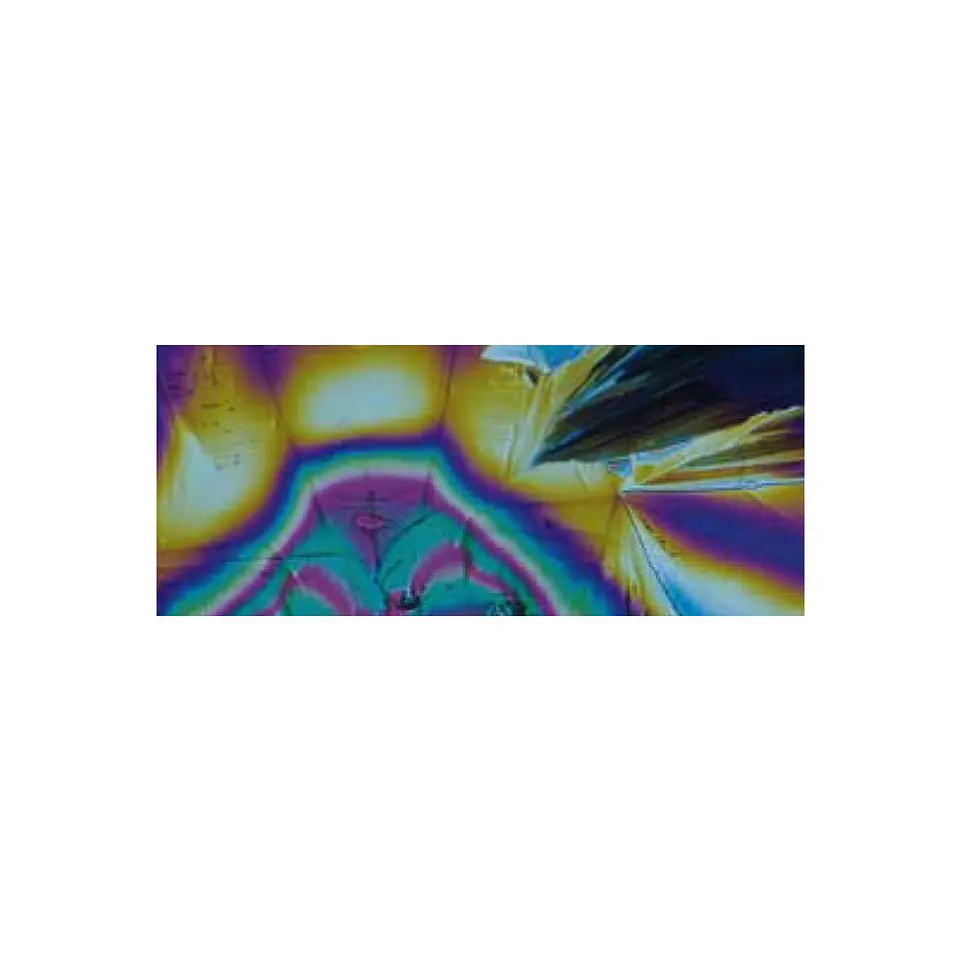 Microscópio Digital BA310 5