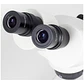 Microscópio Stéreo SFC-11C-N2LED, binocular, 20/40x, AL/DL, LED - Thumbnail 4