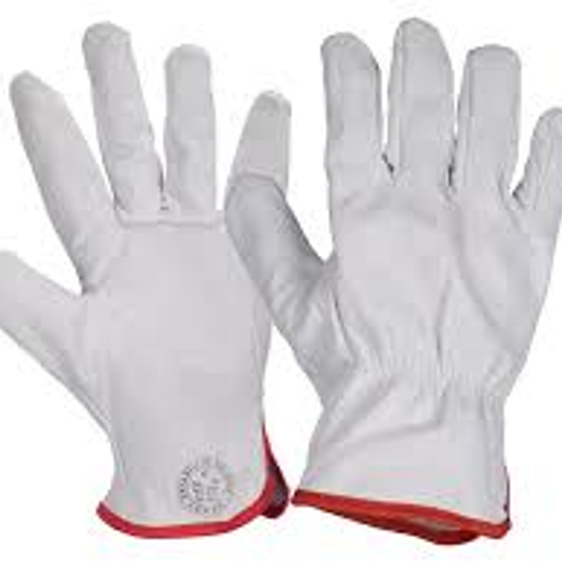 Guante Cabritilla Sin Forro (Caja 120 Par) 1