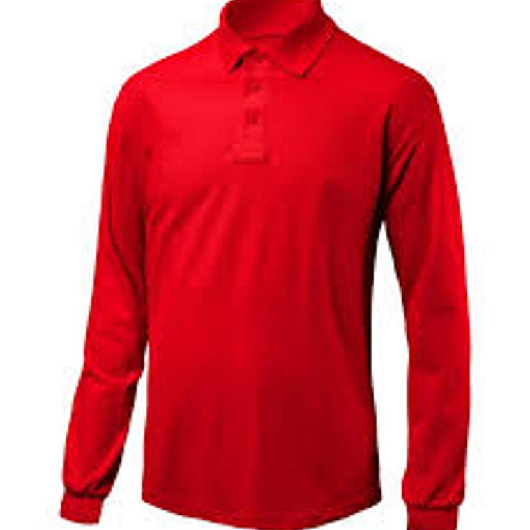 Poleras Pique Manga Larga 4