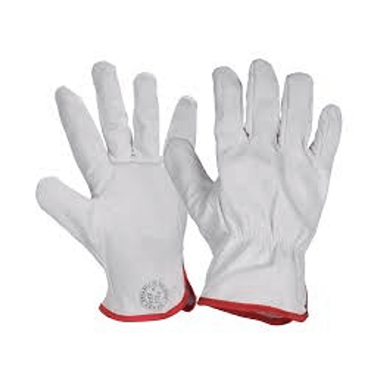 Guante Cabritilla Sin Forro 1