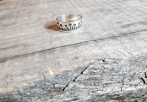 Araucaria design ring