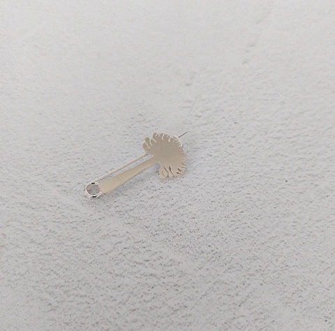 Araucaria brooch