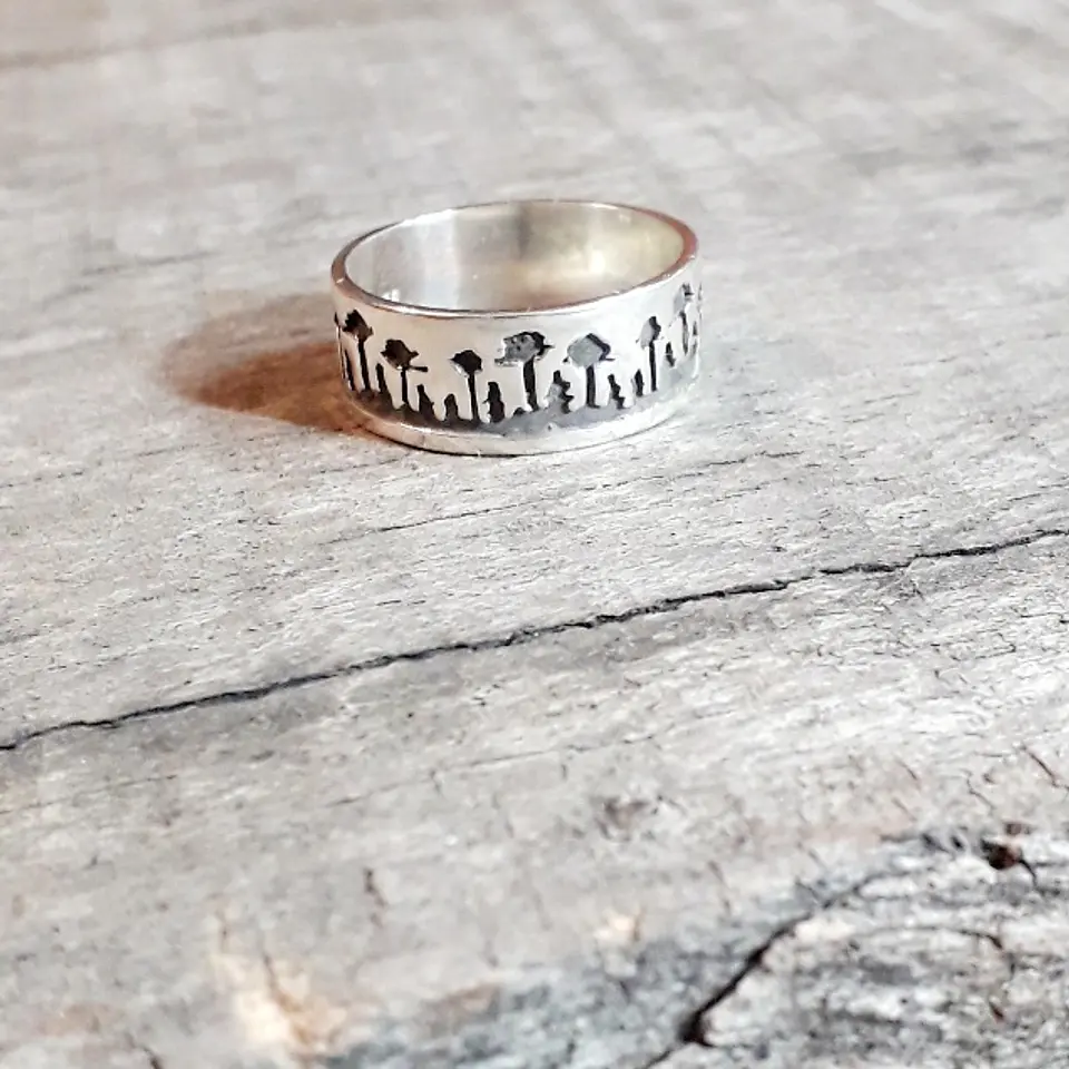 Anillo Araucarias 2