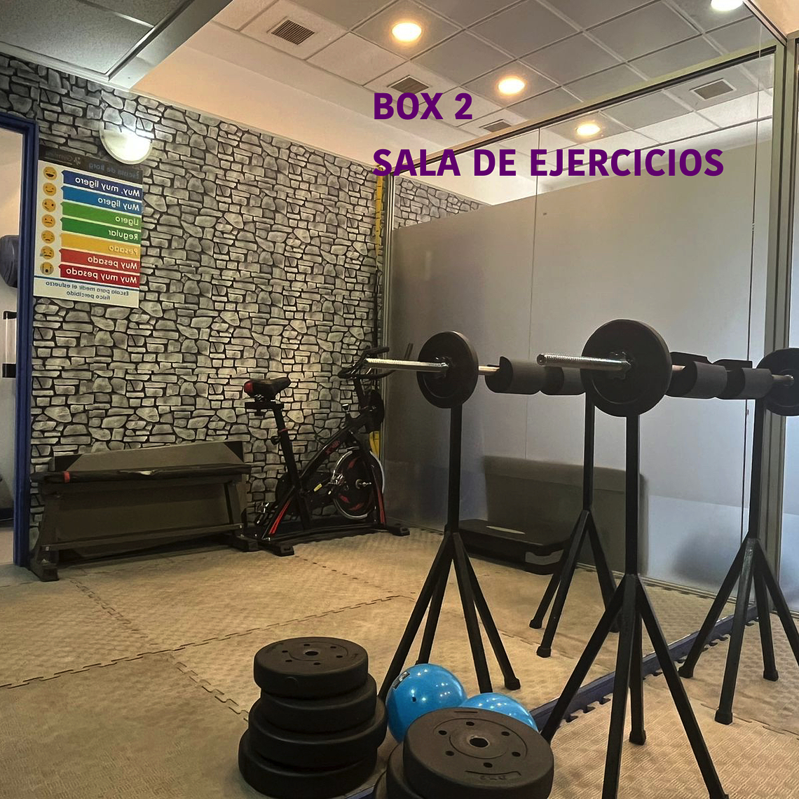 Centro Estetica GymFast 13