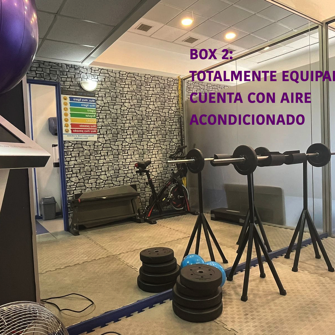 Centro Estetica GymFast 16