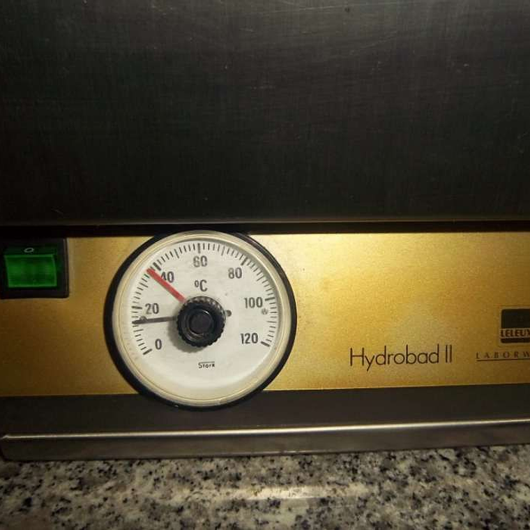 Polimerizadora Lelux Dentaria 1