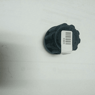 Jato vapor dentaria tampas