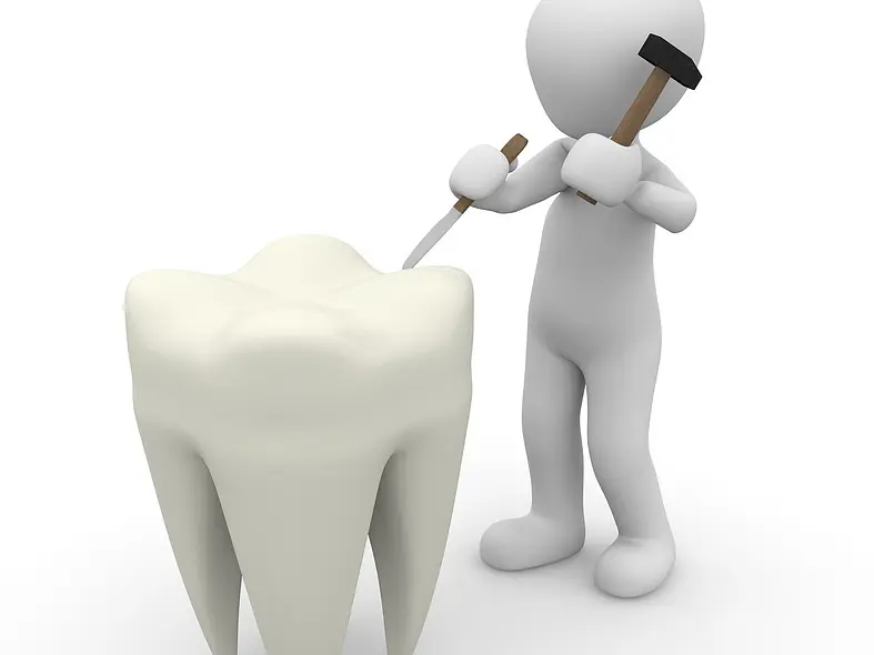 SERVICO TECNICO DENTAL