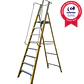 Esc. Fibra V. Plat. Con Baranda 8 Peld - Miniatura 5
