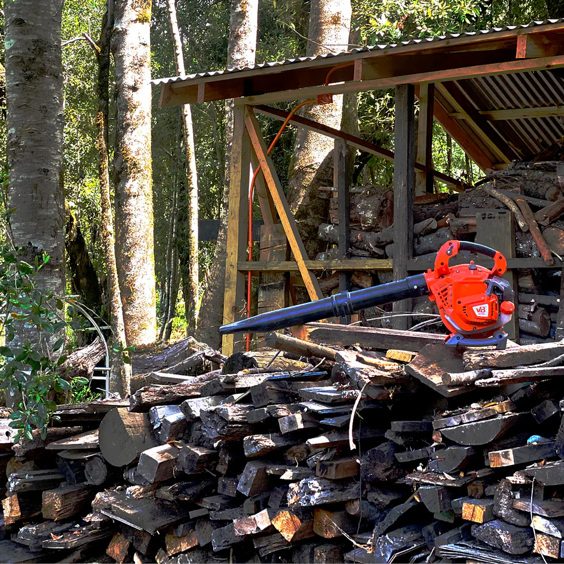 Sopladora Manual van Beek vB230E 3