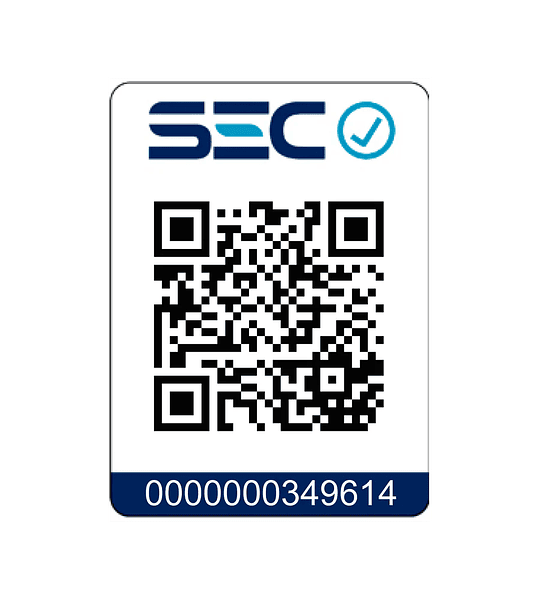 Arriendo Generador 5.0Kva Tomahawk Power TG5000E PARTIDA ELECTRICA- COPIAR - 