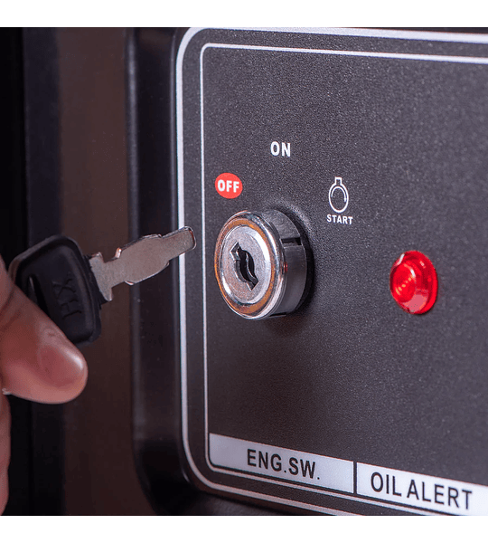 Arriendo Generador 5.0Kva Tomahawk Power TG5000E PARTIDA ELECTRICA- COPIAR - 