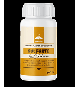 SULFORTE (500 CC)