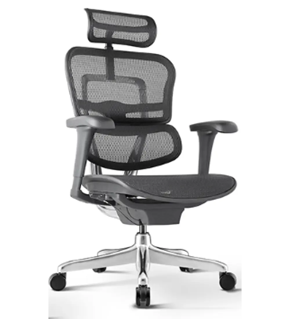 Silla Ergohuman Basic