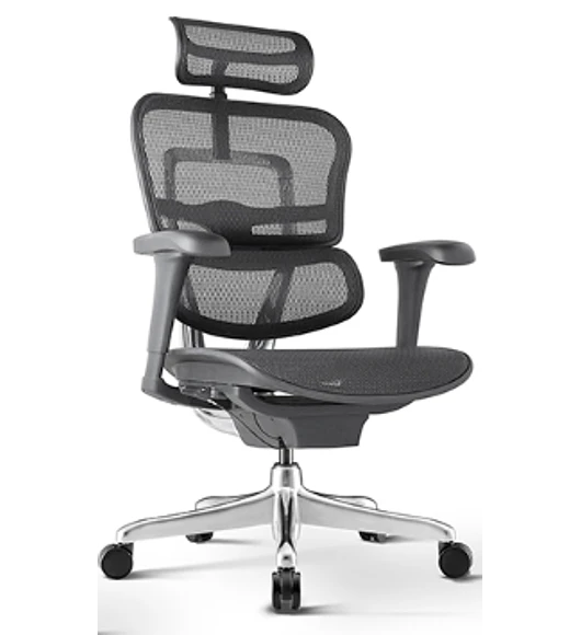 Silla Ergohuman Basic