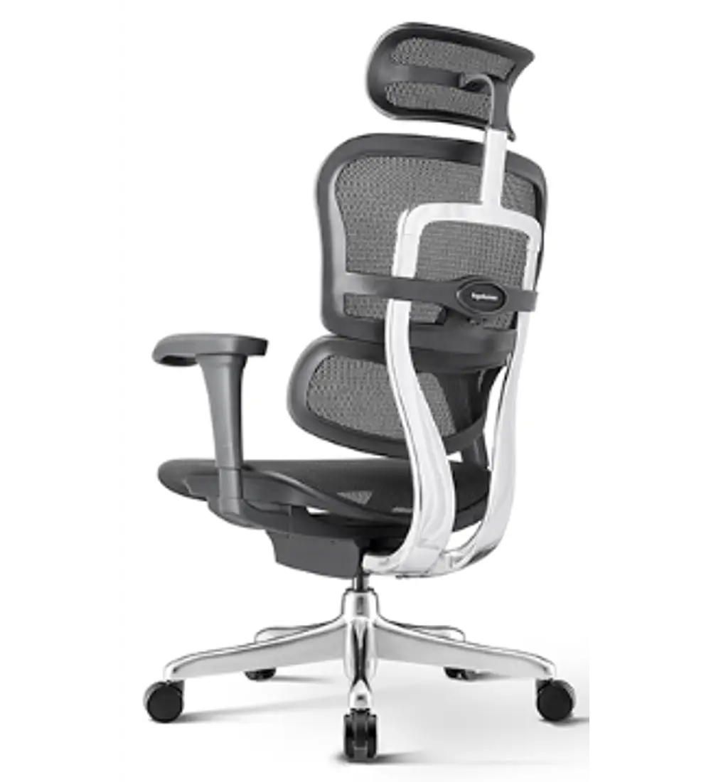 Silla Ergohuman Basic