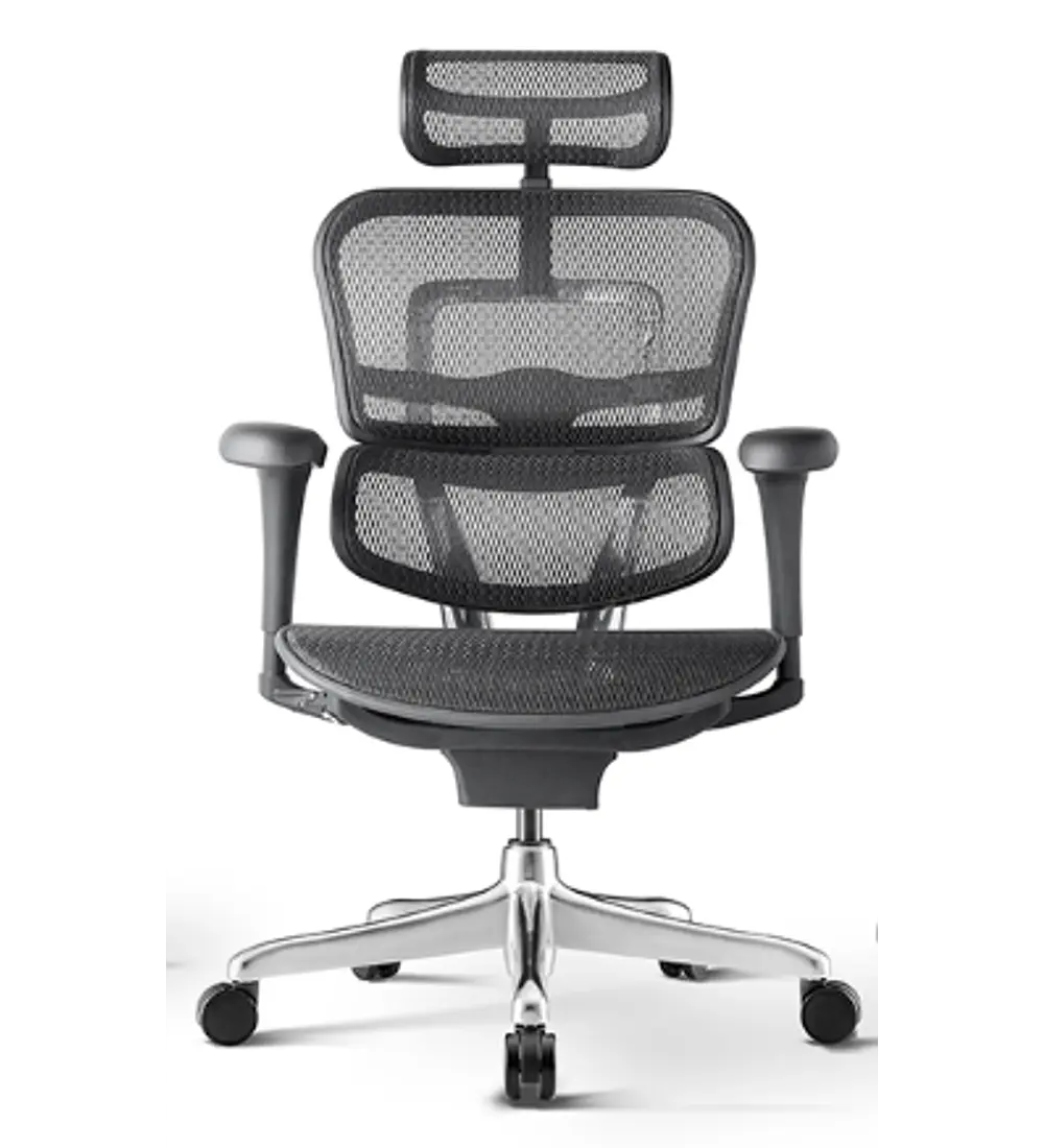 Silla Ergohuman Basic