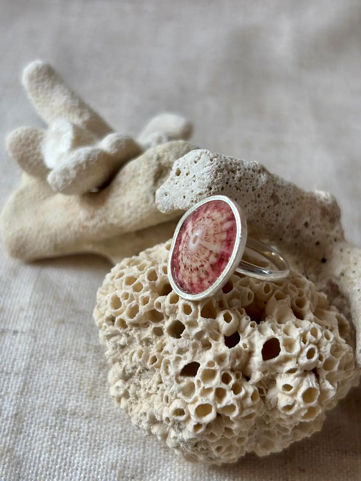Anillos