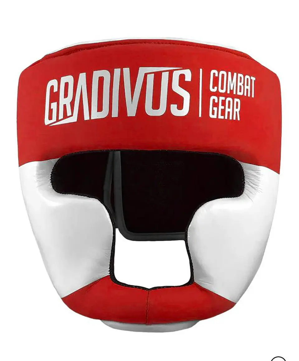 Cabezal SparPro  1