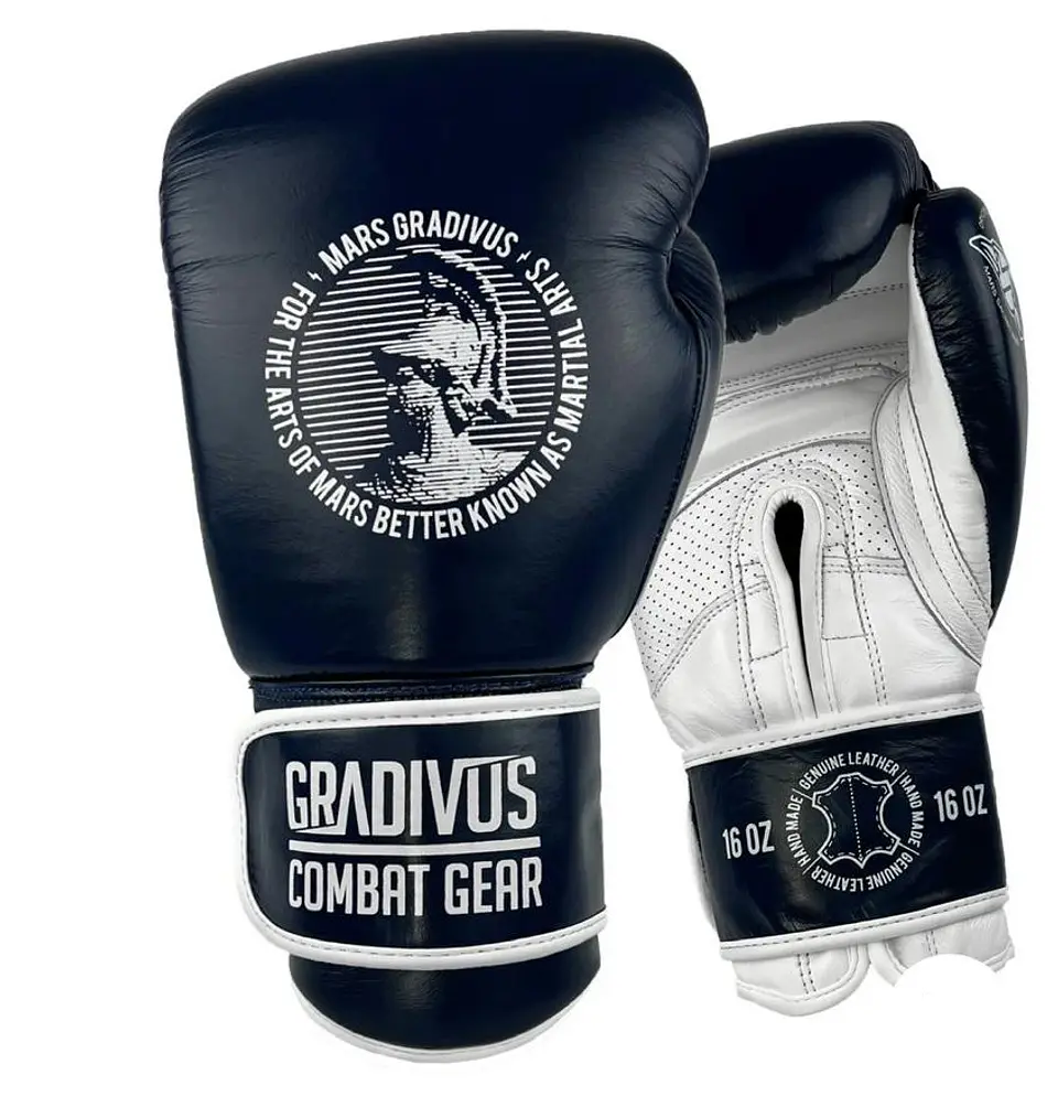 Guantes Box SparPro 1