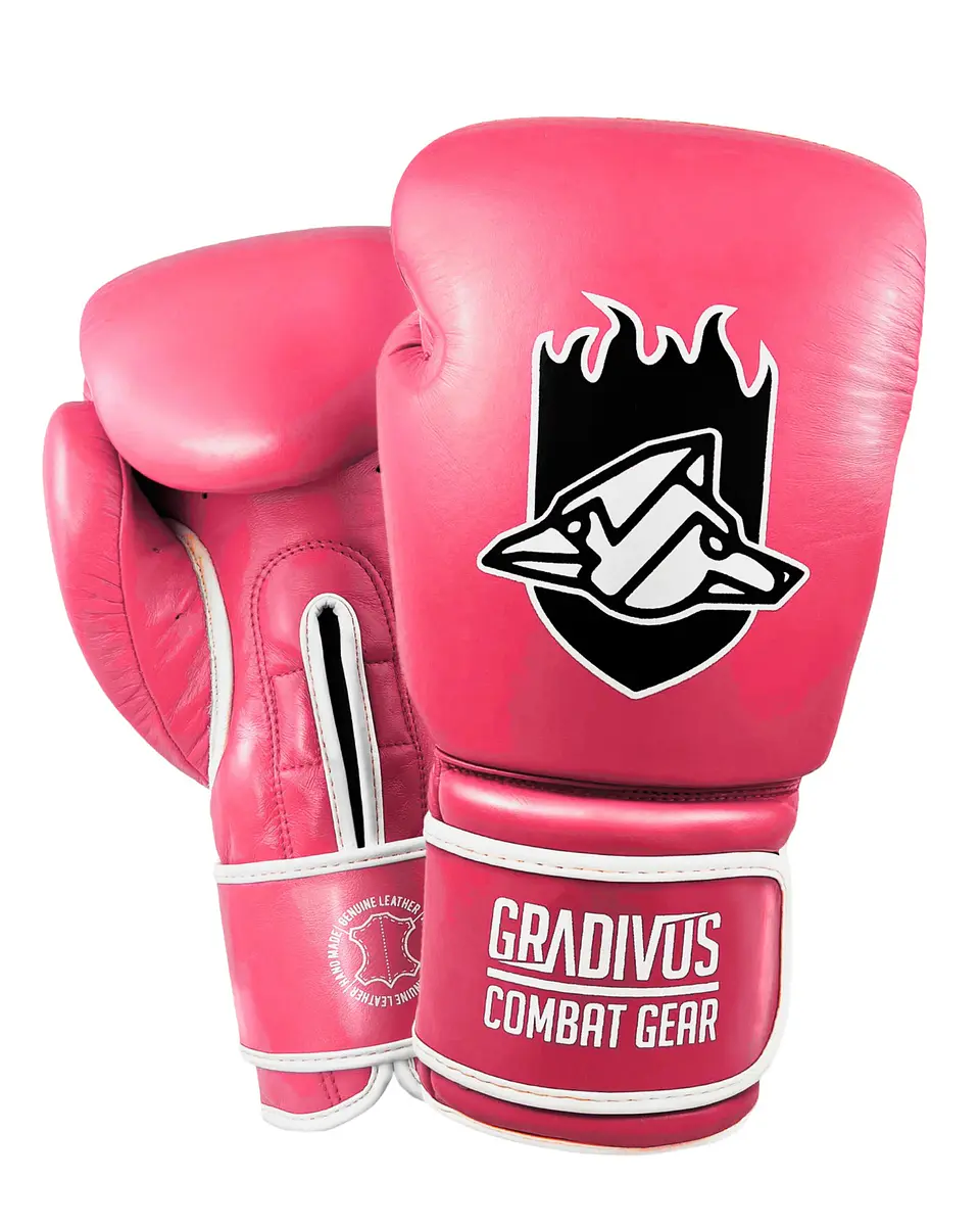 Guantes Box Pro Standard  1