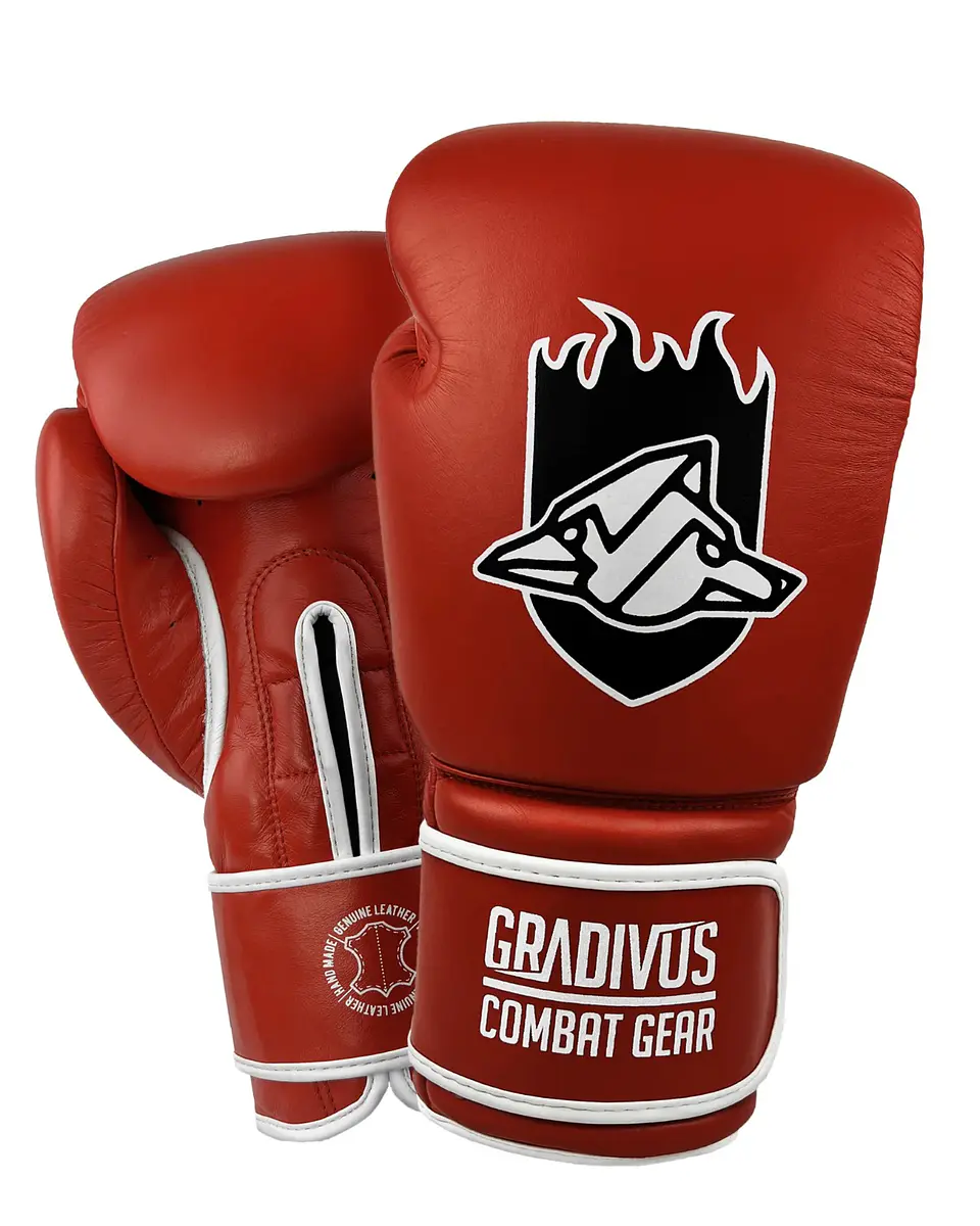 Guantes Box Pro Standard  2