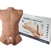 Torso Masculino Apollo L  con Dildo