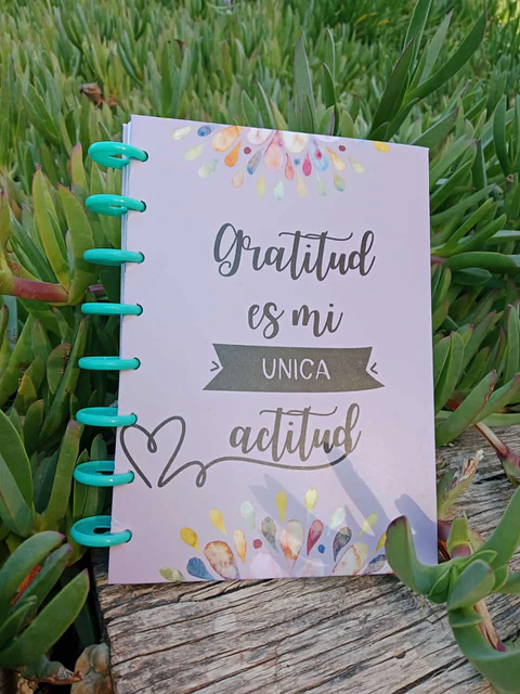 Diario de Gratitud